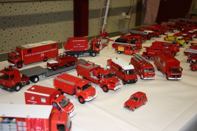 Les exposants